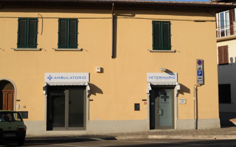 Ambulatorio Veterinario Bagno A Ripoli Ambulatorio Veterinario Bagno A Ripoli Gallery